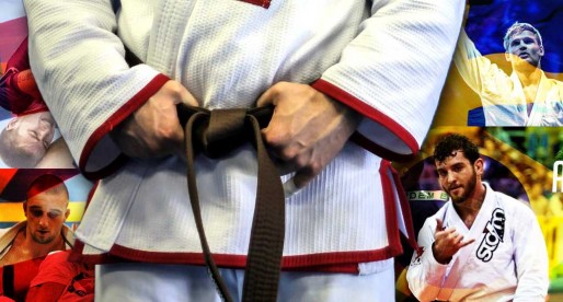 Top Brown Belts of 2015