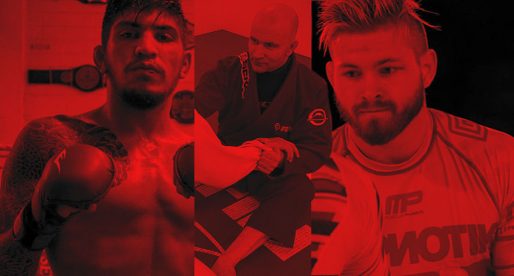 BJJ Popularity Race 2018, Who Won it?