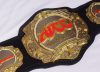 ADCC’s Magnificent 8