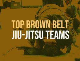 Top 5 Brown Belt Teams In The World Today