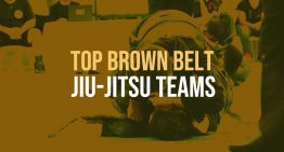 Top 5 Brown Belt Teams In The World Today