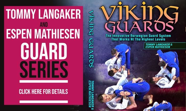 Viking Guard Instructional