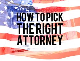How To Pick The Right USA Immigration Attorney, Advice For Jiu-Jitsu Athletes