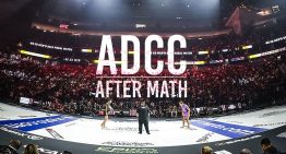 ADCC 2024 After Math, Data Compilation And Analysis
