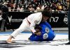 2024 ADGS Dallas Results, Jefferson Goteu and Israel Sousa Win Stacked Divisions