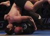Polaris 30 Results